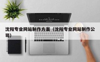 桐乡沈阳专业网站制作方案（沈阳专业网站制作公司）